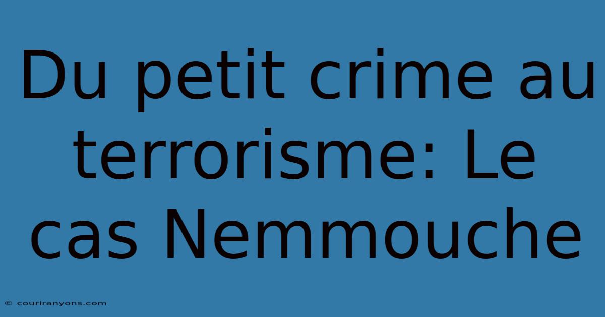 Du Petit Crime Au Terrorisme: Le Cas Nemmouche