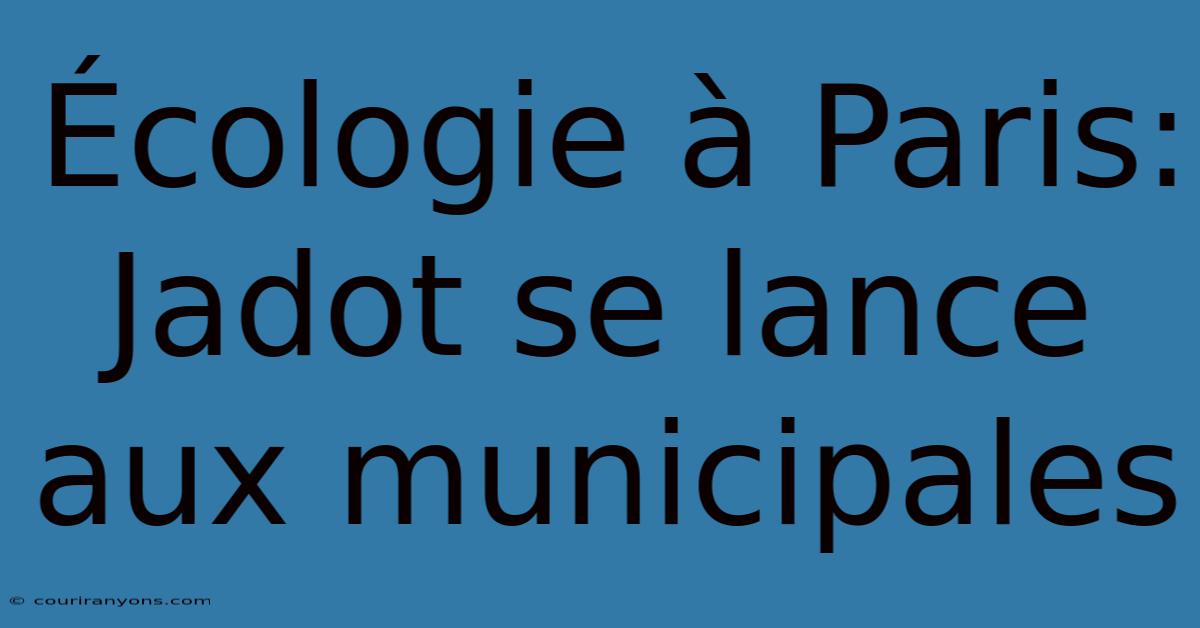 Écologie À Paris: Jadot Se Lance Aux Municipales