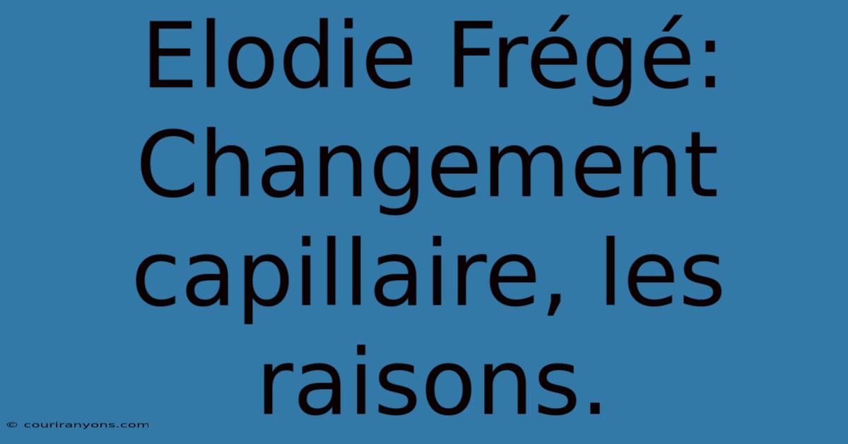 Elodie Frégé: Changement Capillaire, Les Raisons.