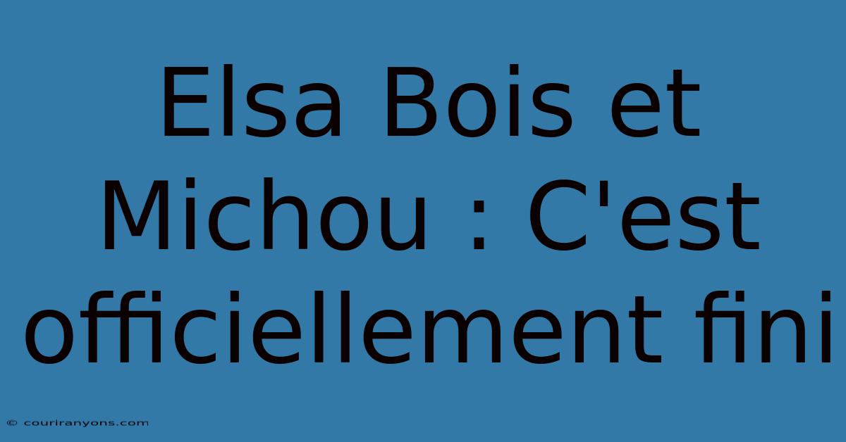 Elsa Bois Et Michou : C'est Officiellement Fini