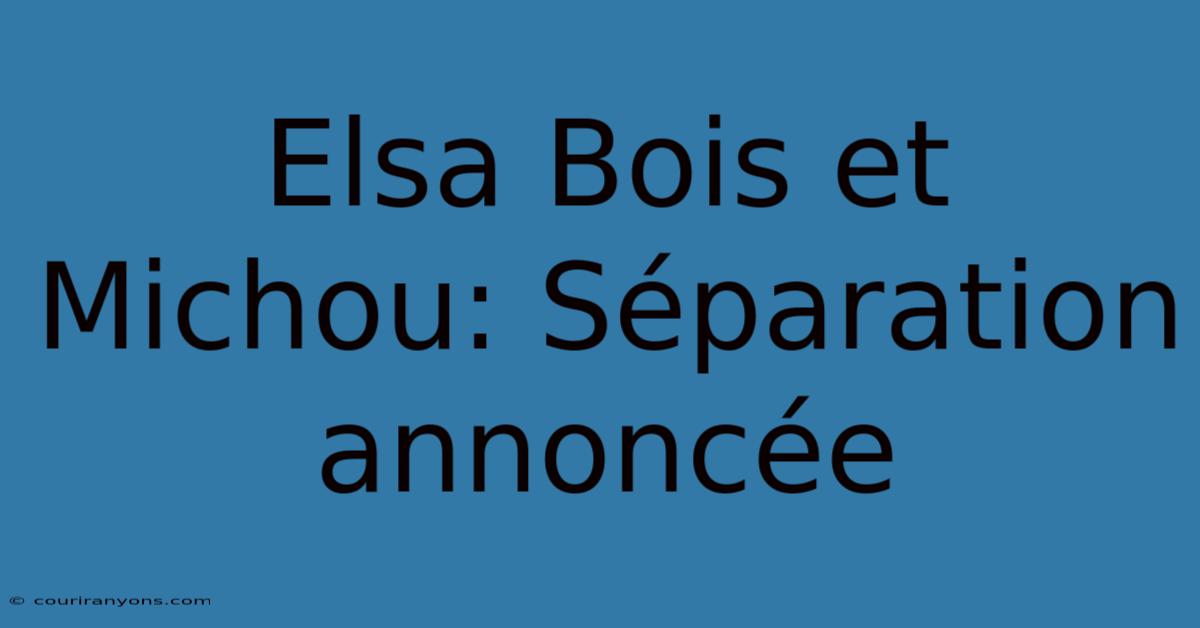 Elsa Bois Et Michou: Séparation Annoncée