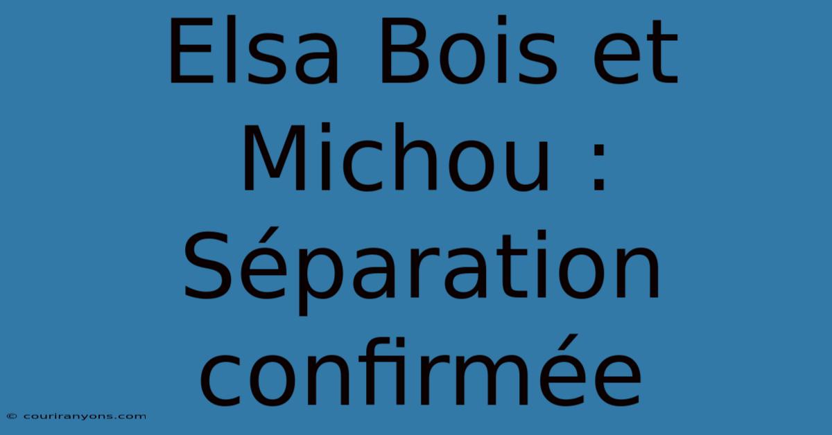 Elsa Bois Et Michou : Séparation Confirmée