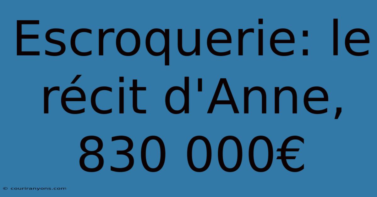 Escroquerie: Le Récit D'Anne, 830 000€