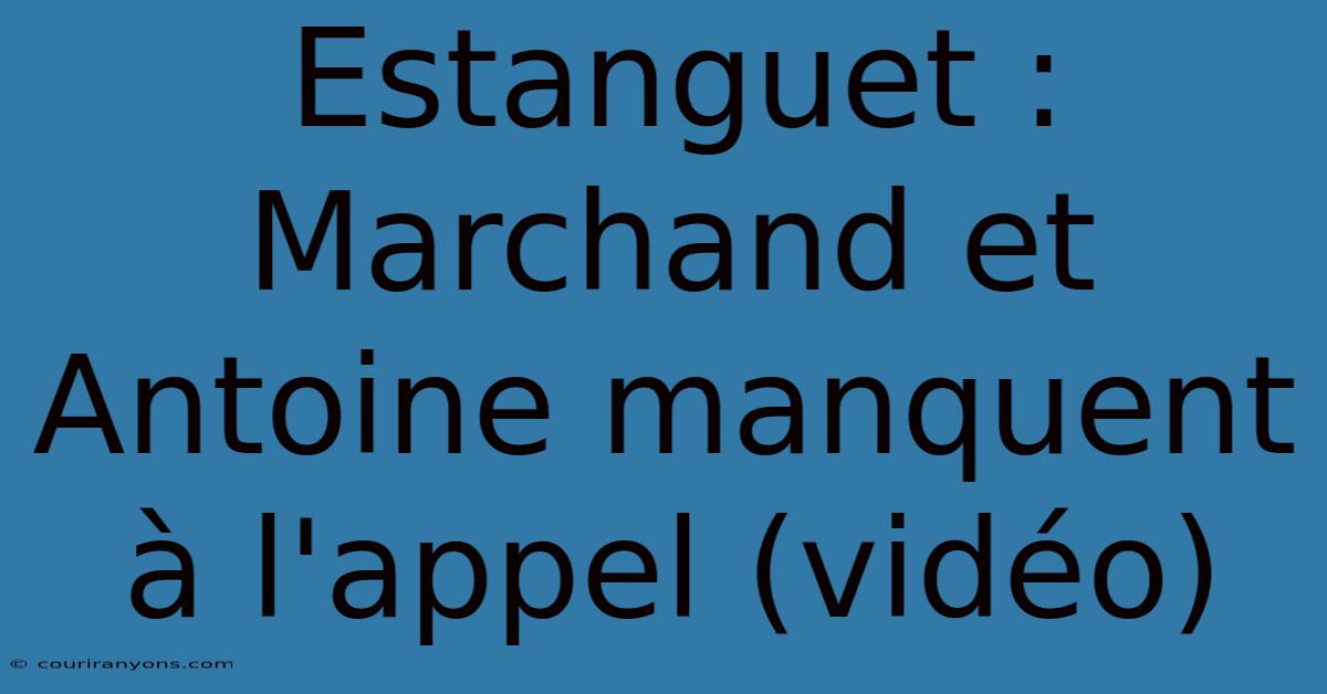 Estanguet :  Marchand Et Antoine Manquent À L'appel (vidéo)