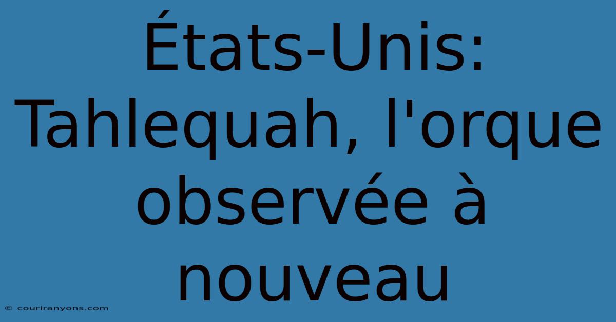 États-Unis: Tahlequah, L'orque Observée À Nouveau