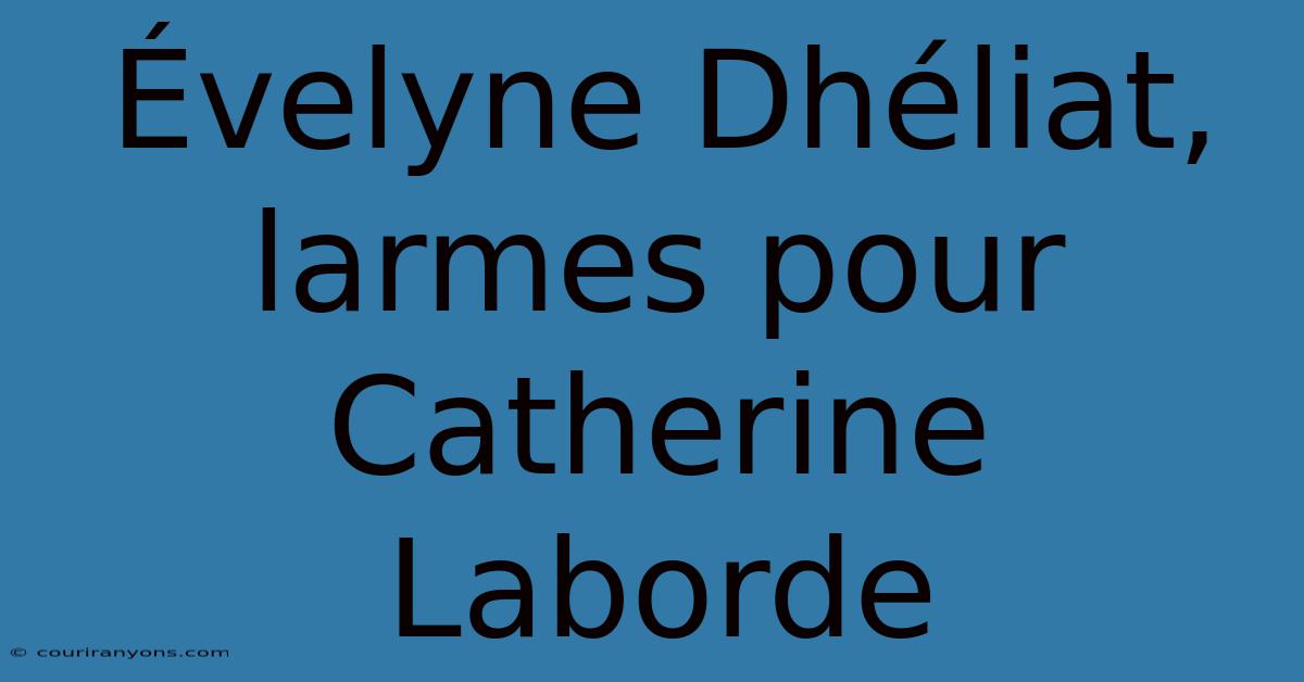 Évelyne Dhéliat, Larmes Pour Catherine Laborde