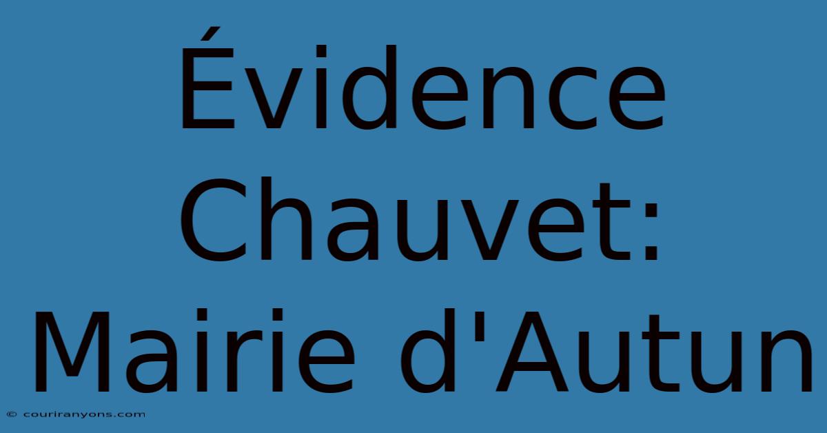 Évidence Chauvet: Mairie D'Autun