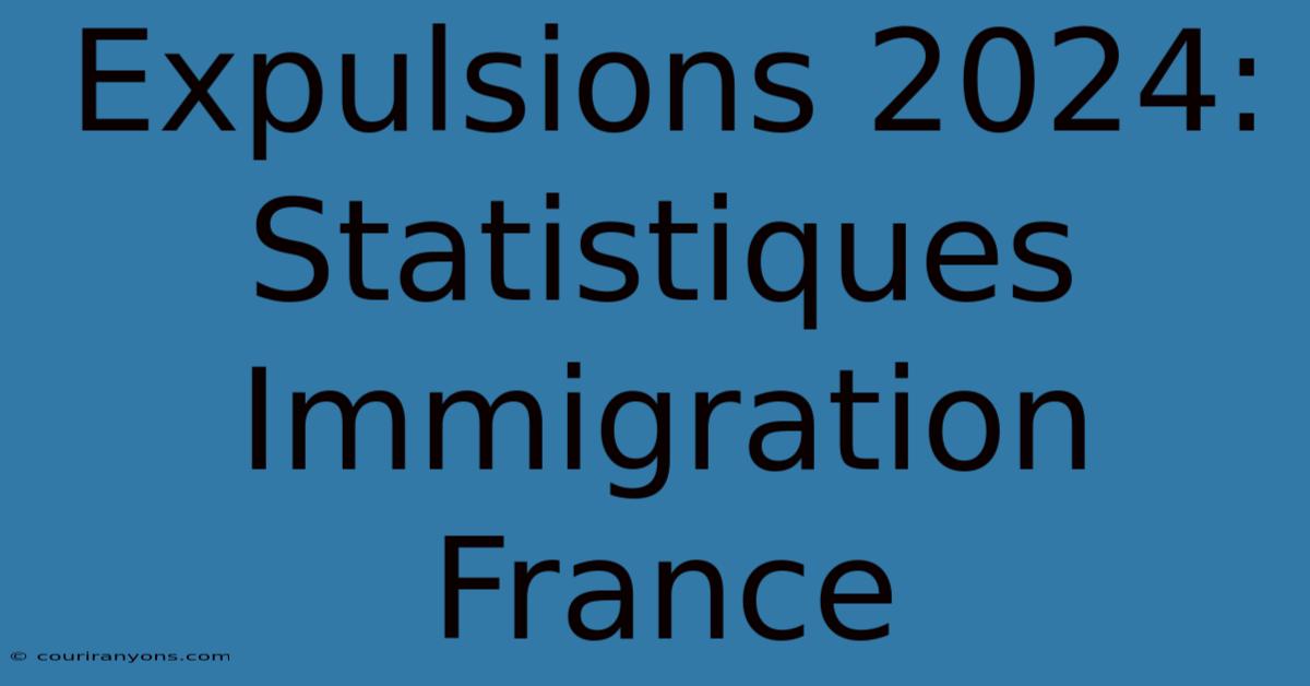 Expulsions 2024: Statistiques Immigration France