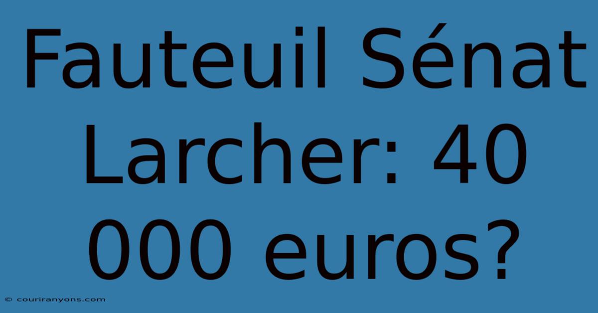 Fauteuil Sénat Larcher: 40 000 Euros?