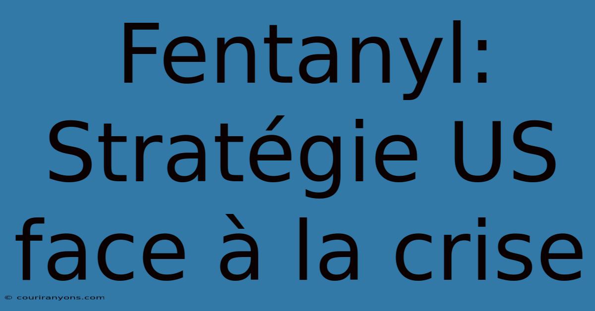 Fentanyl: Stratégie US Face À La Crise