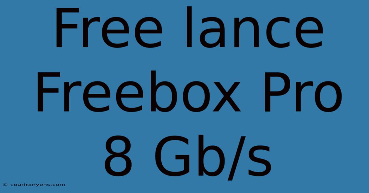 Free Lance Freebox Pro 8 Gb/s