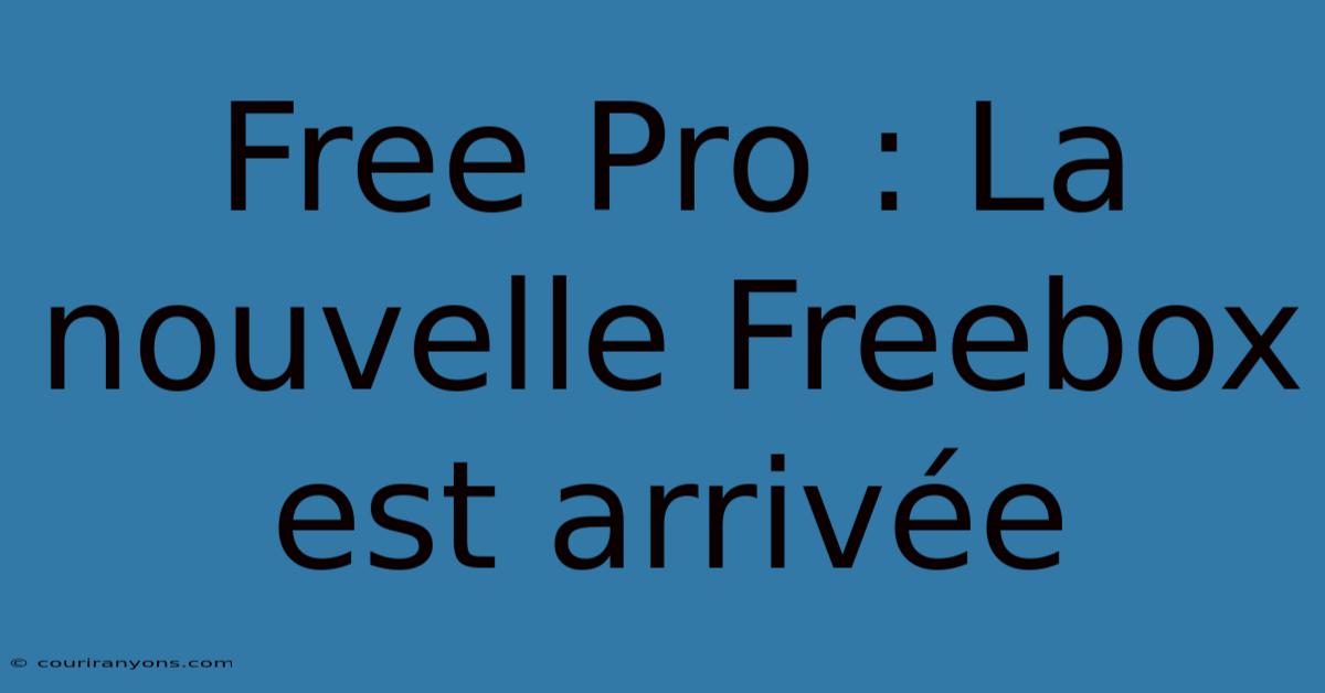 Free Pro : La Nouvelle Freebox Est Arrivée