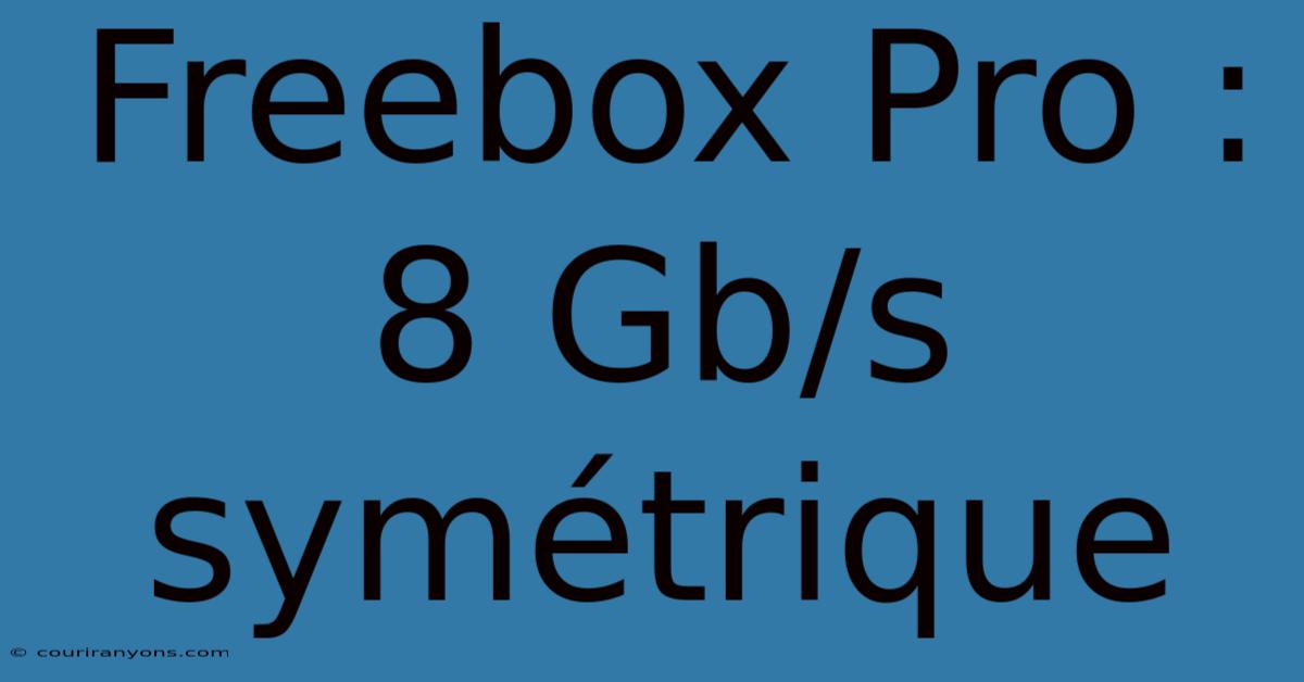 Freebox Pro : 8 Gb/s Symétrique