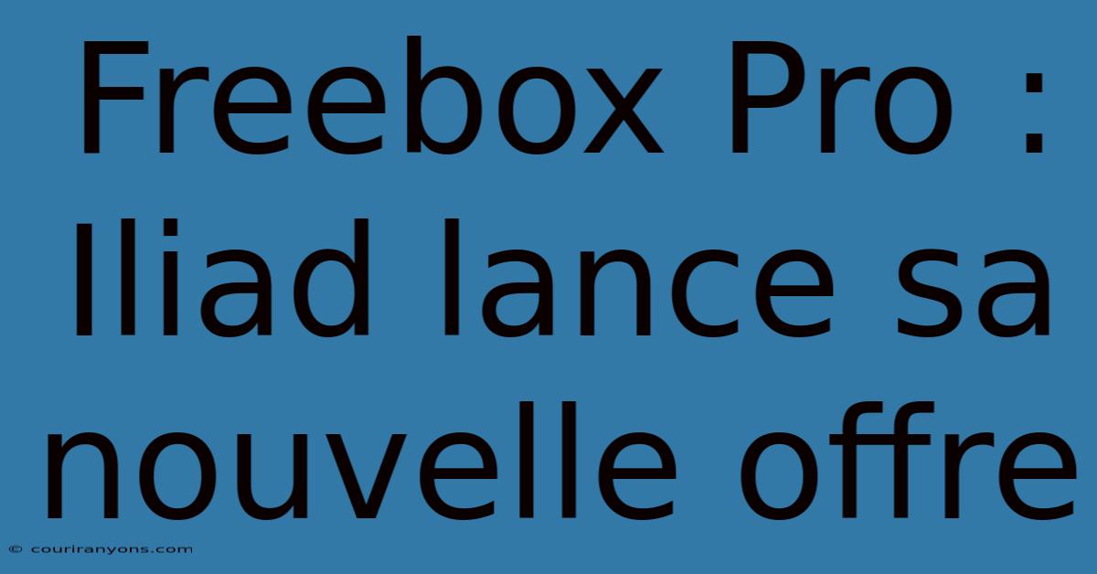 Freebox Pro : Iliad Lance Sa Nouvelle Offre