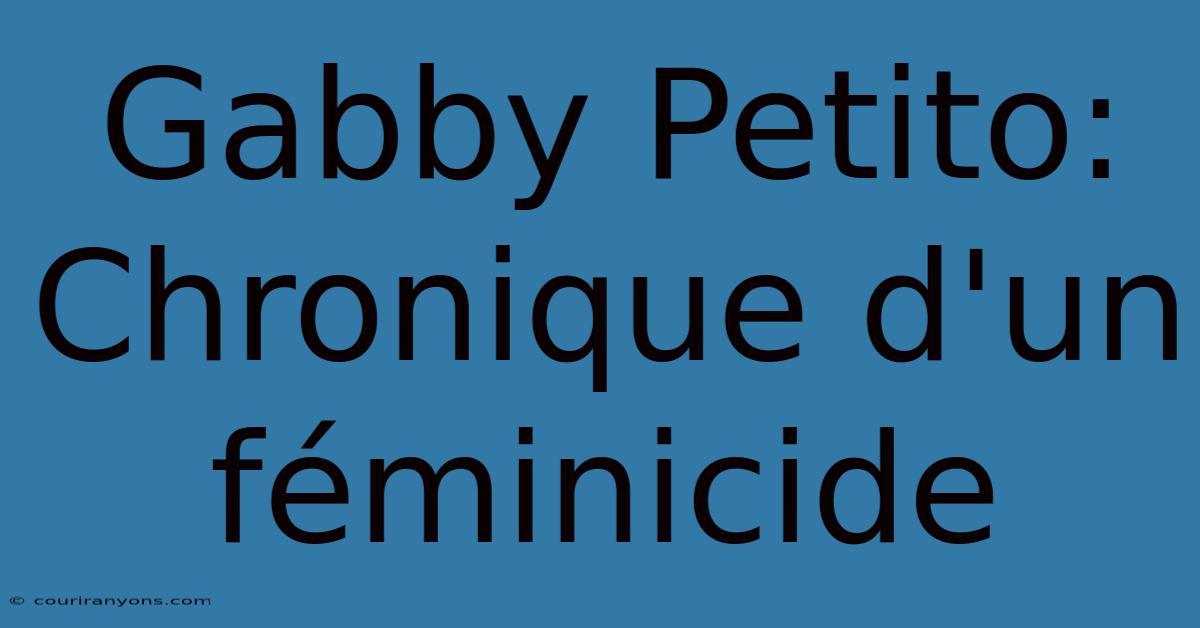 Gabby Petito: Chronique D'un Féminicide