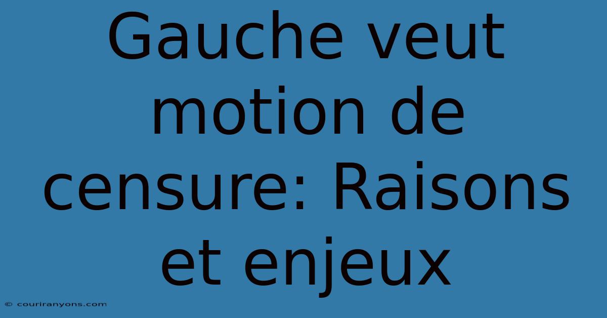 Gauche Veut Motion De Censure: Raisons Et Enjeux