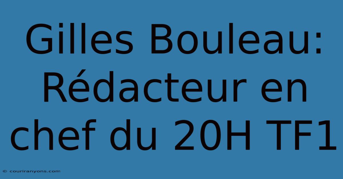 Gilles Bouleau: Rédacteur En Chef Du 20H TF1