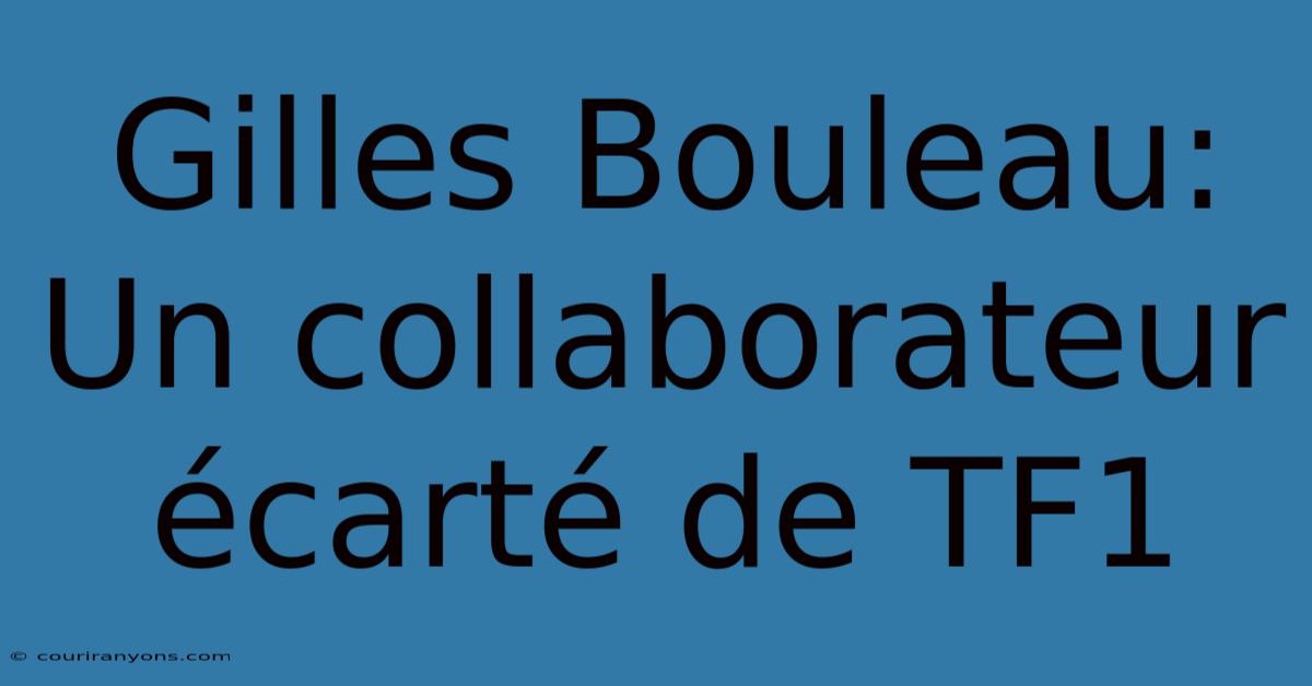 Gilles Bouleau: Un Collaborateur Écarté De TF1