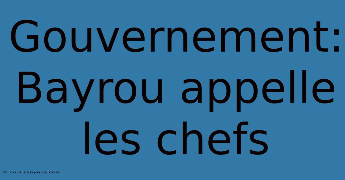 Gouvernement: Bayrou Appelle Les Chefs