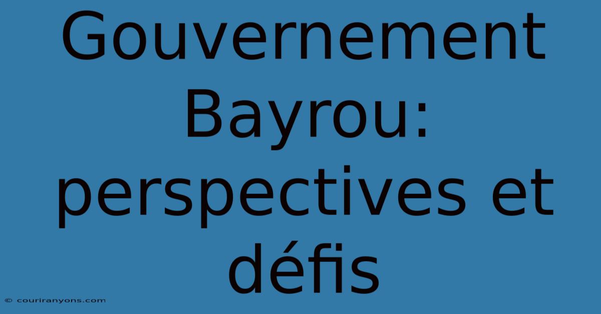 Gouvernement Bayrou: Perspectives Et Défis