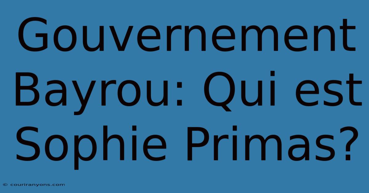 Gouvernement Bayrou: Qui Est Sophie Primas?