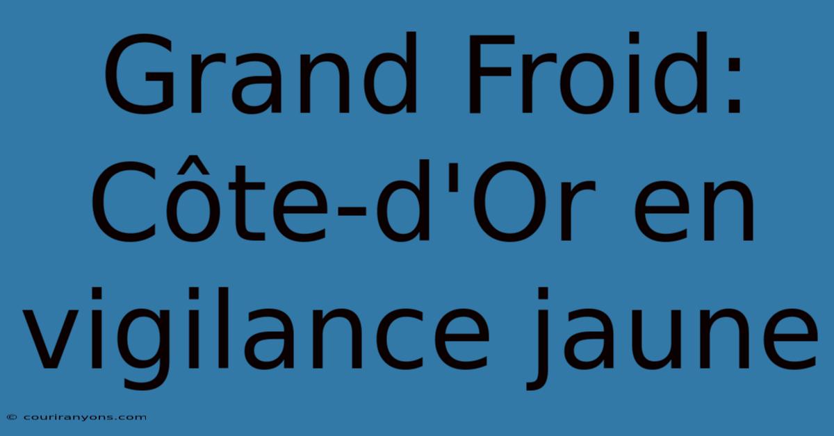 Grand Froid: Côte-d'Or En Vigilance Jaune