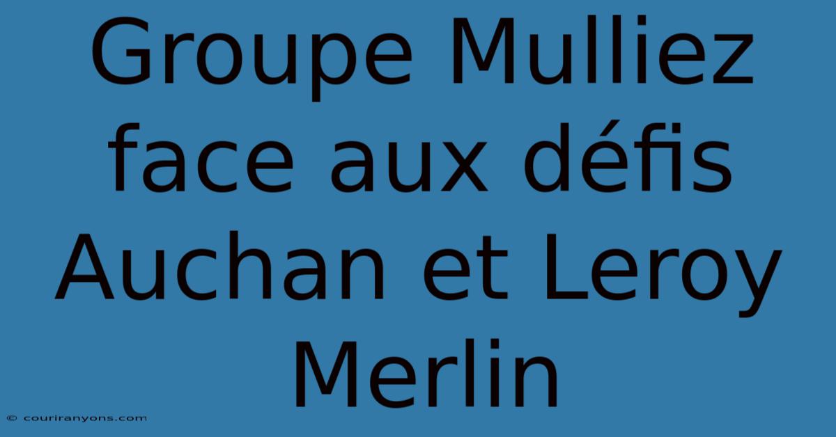 Groupe Mulliez Face Aux Défis Auchan Et Leroy Merlin