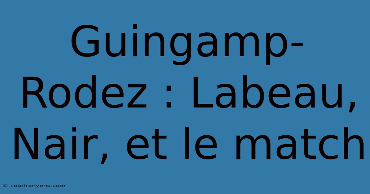 Guingamp-Rodez : Labeau, Nair, Et Le Match