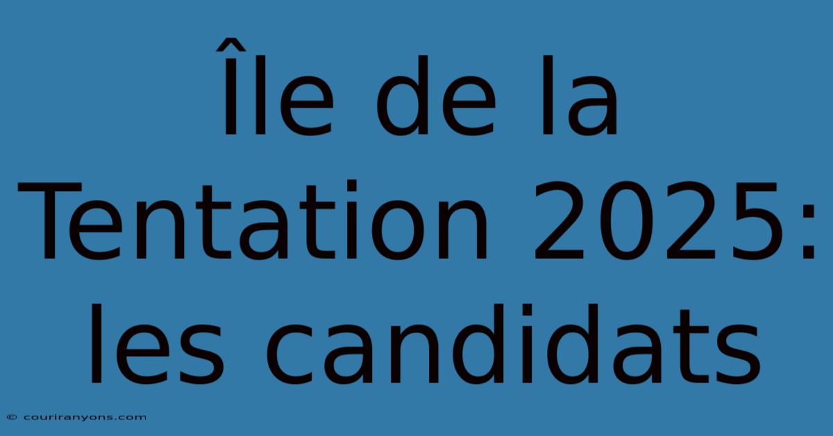 Île De La Tentation 2025: Les Candidats