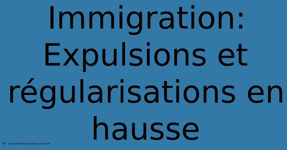 Immigration: Expulsions Et Régularisations En Hausse