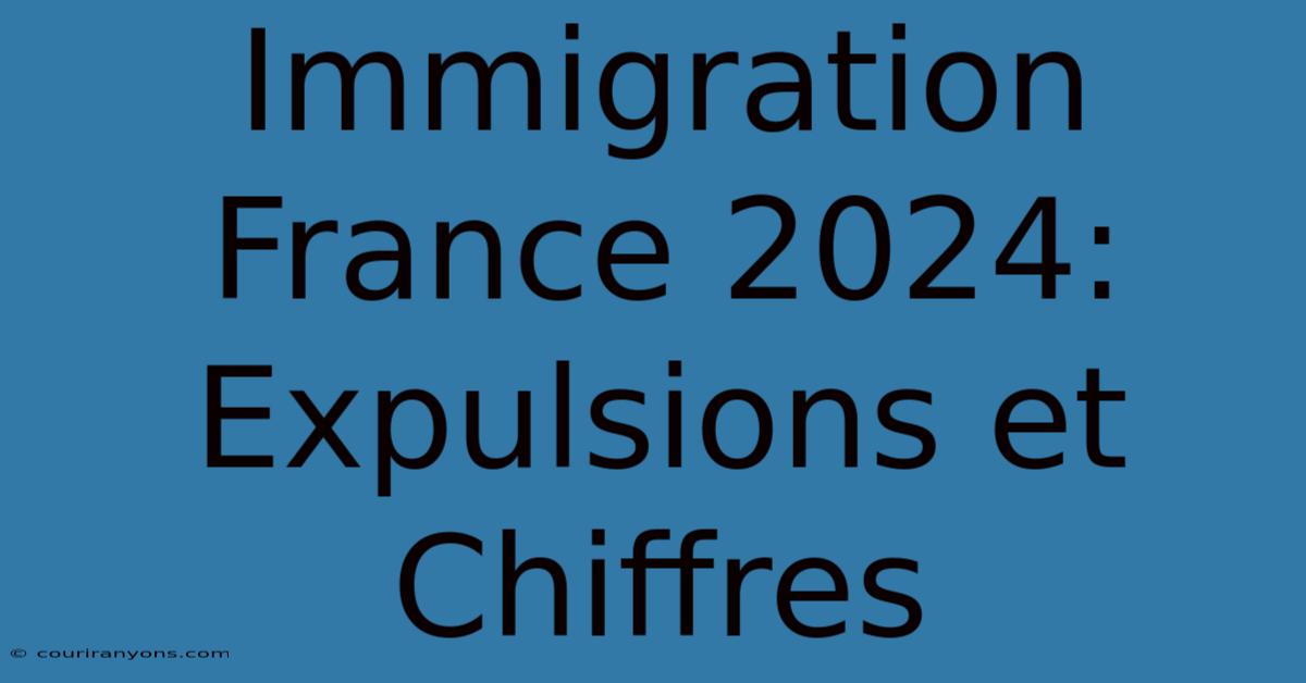 Immigration France 2024: Expulsions Et Chiffres