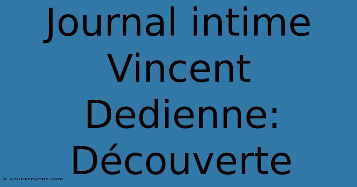 Journal Intime Vincent Dedienne: Découverte