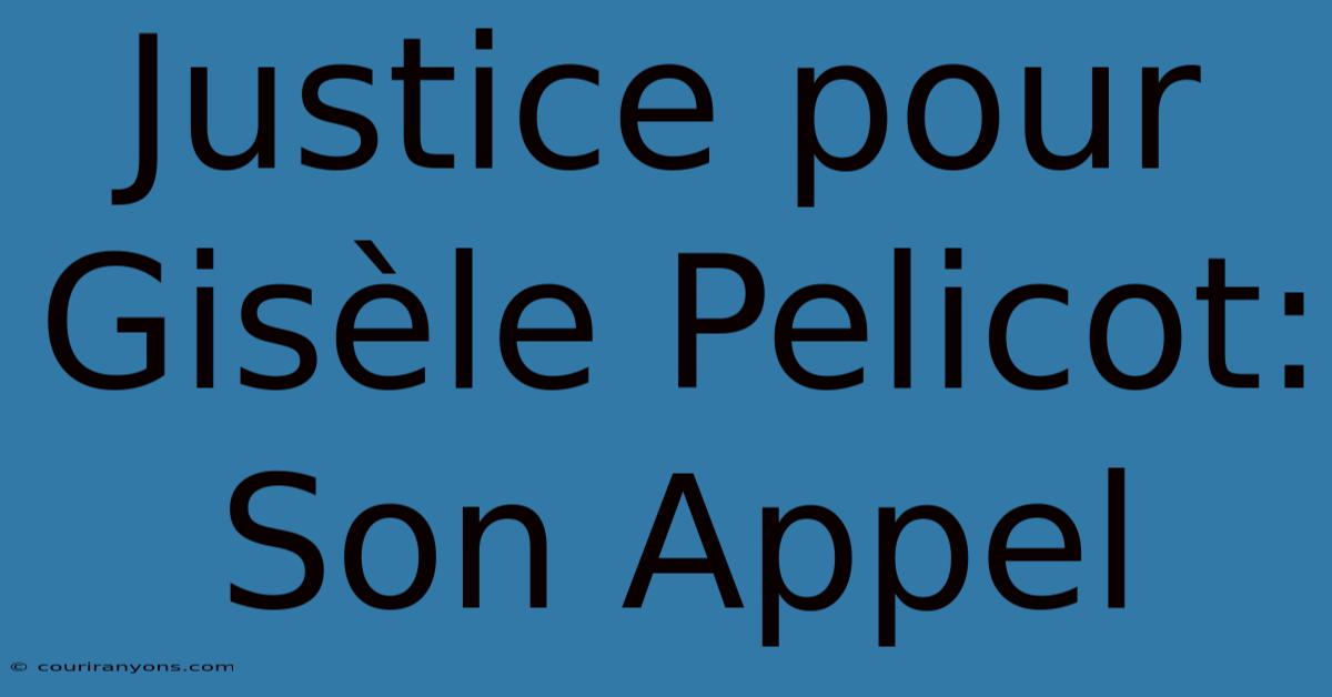 Justice Pour Gisèle Pelicot: Son Appel