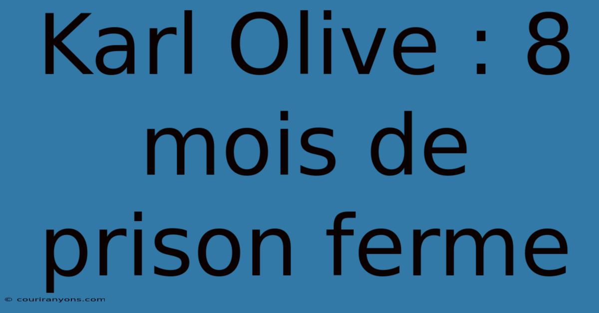 Karl Olive : 8 Mois De Prison Ferme