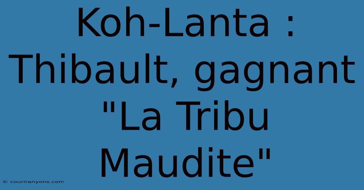 Koh-Lanta : Thibault, Gagnant 