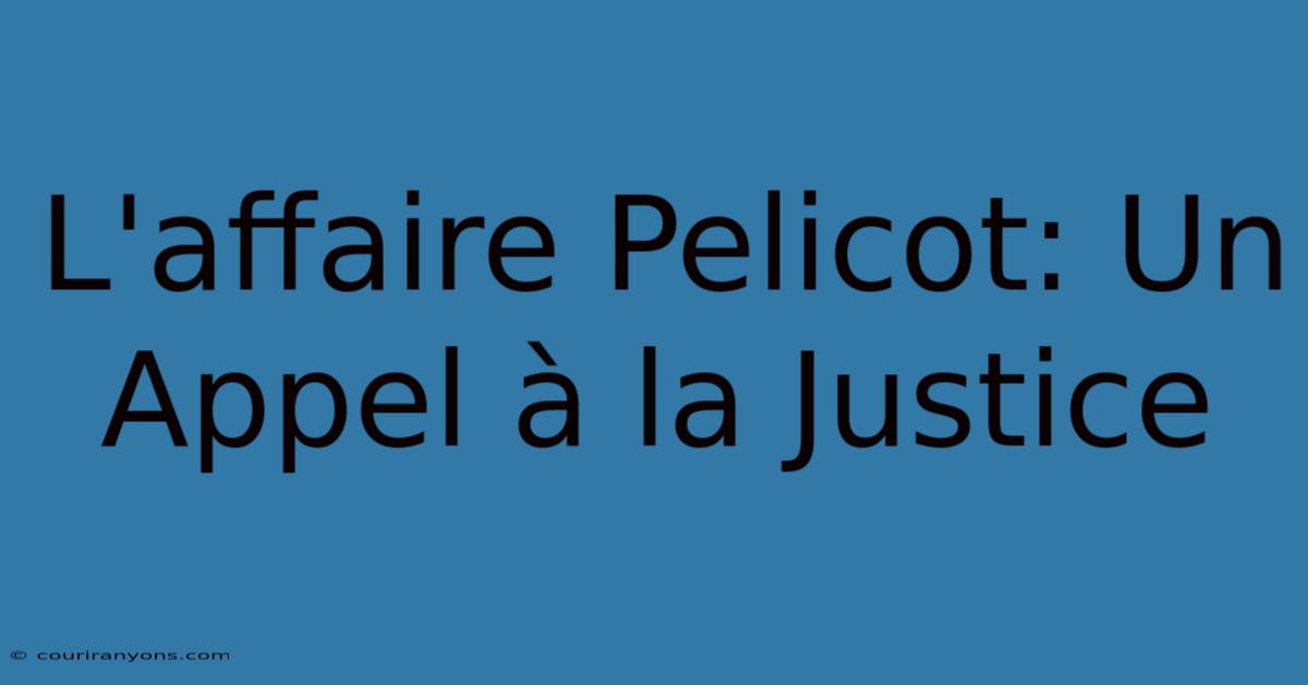 L'affaire Pelicot: Un Appel À La Justice