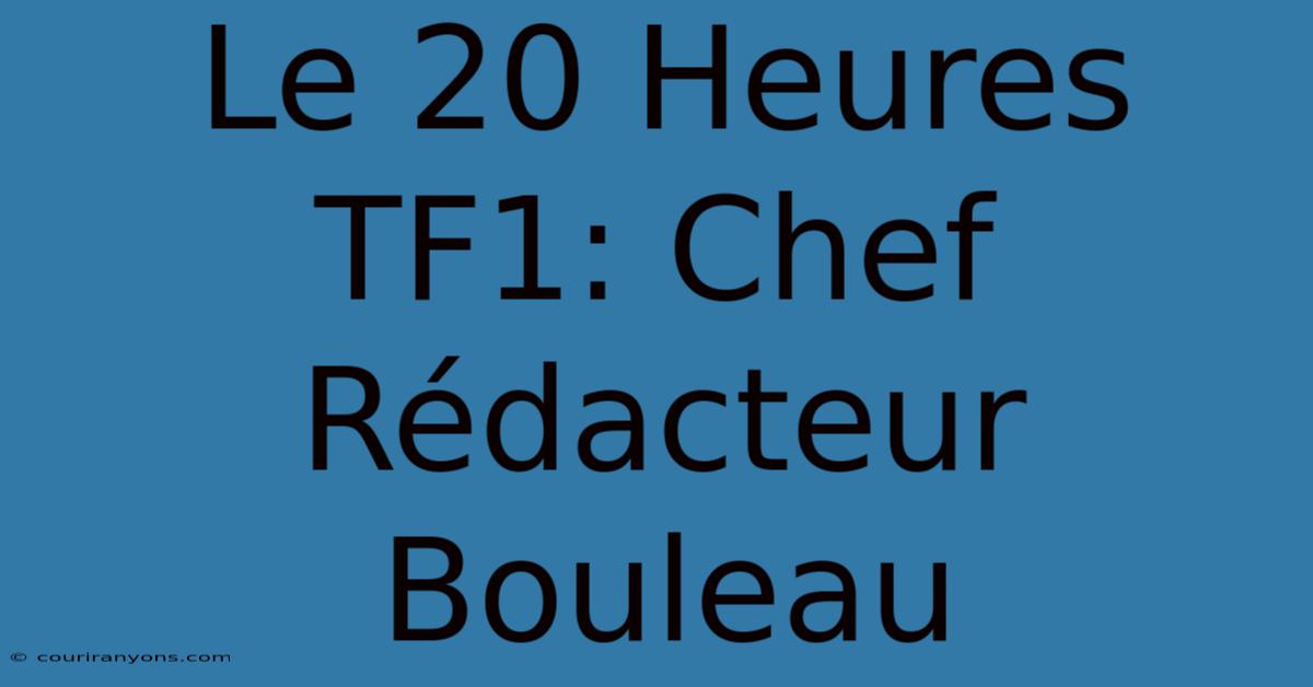 Le 20 Heures TF1: Chef Rédacteur Bouleau