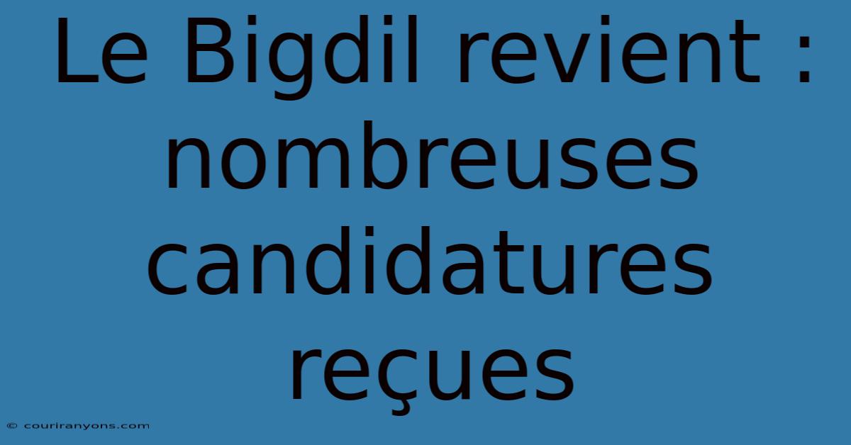 Le Bigdil Revient : Nombreuses Candidatures Reçues