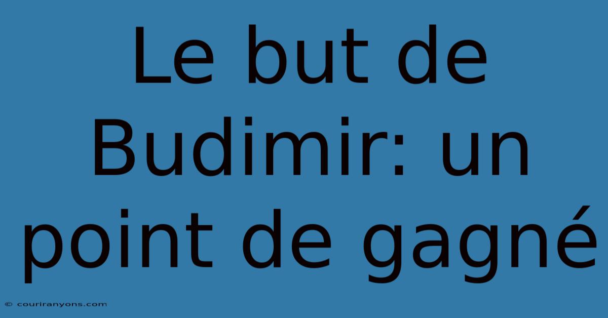 Le But De Budimir: Un Point De Gagné