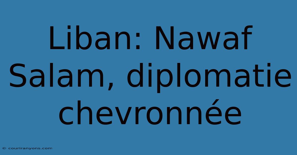 Liban: Nawaf Salam, Diplomatie Chevronnée