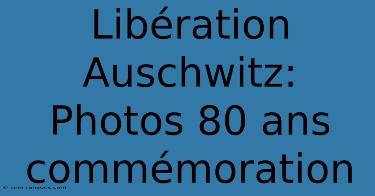 Libération Auschwitz: Photos 80 Ans Commémoration