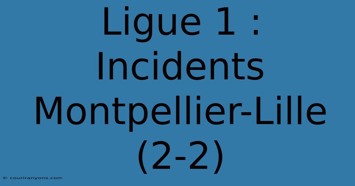 Ligue 1 : Incidents Montpellier-Lille (2-2)