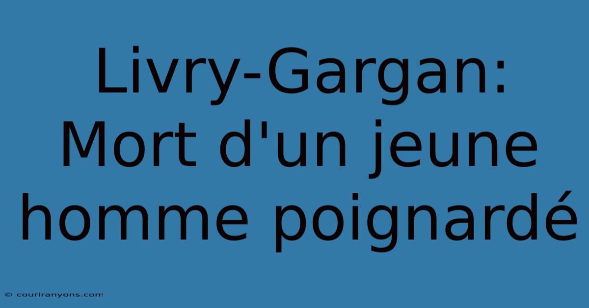 Livry-Gargan: Mort D'un Jeune Homme Poignardé