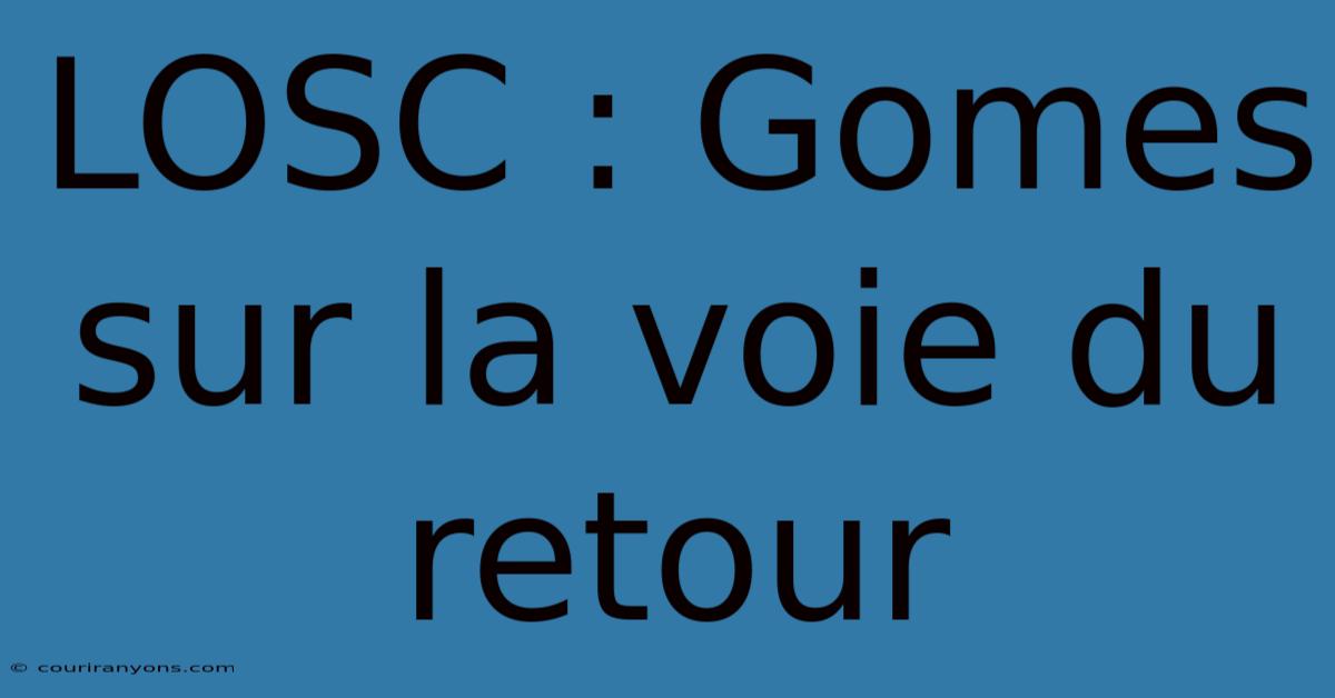 LOSC : Gomes Sur La Voie Du Retour