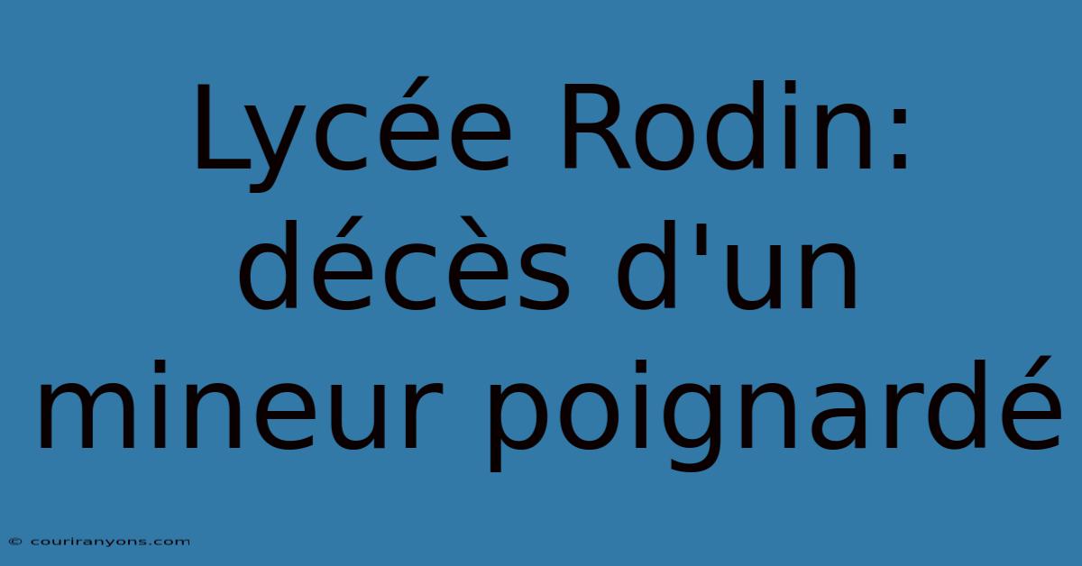 Lycée Rodin: Décès D'un Mineur Poignardé