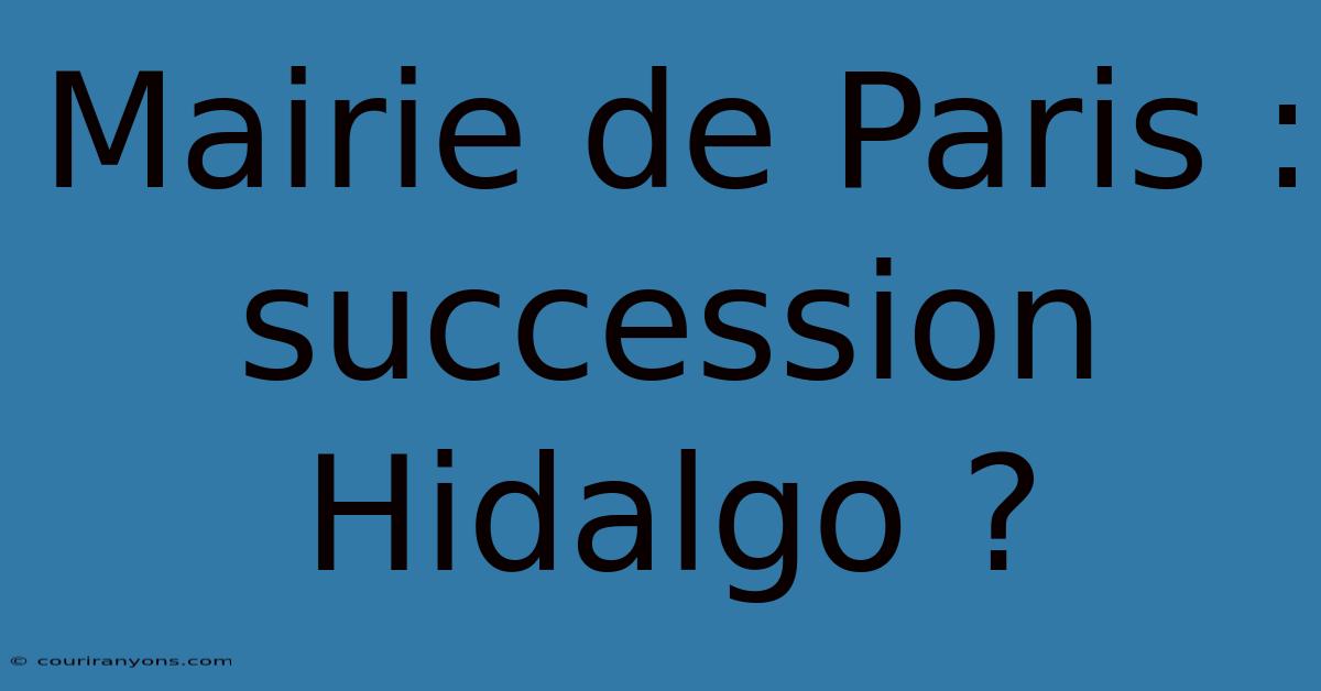 Mairie De Paris :  Succession Hidalgo ?