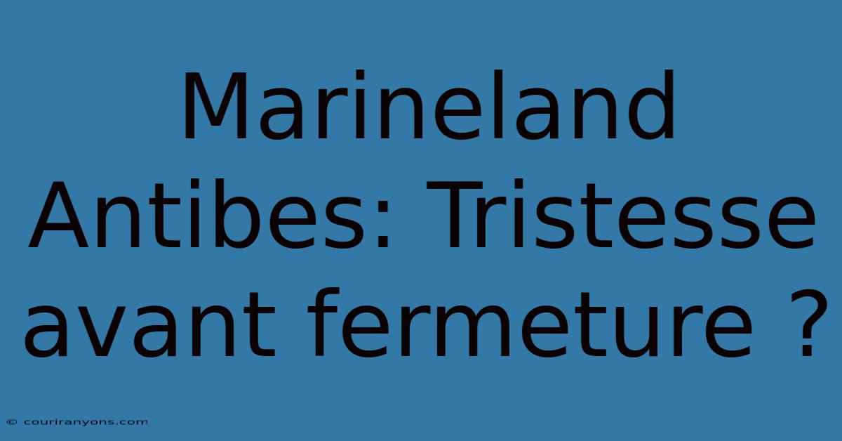 Marineland Antibes: Tristesse Avant Fermeture ?