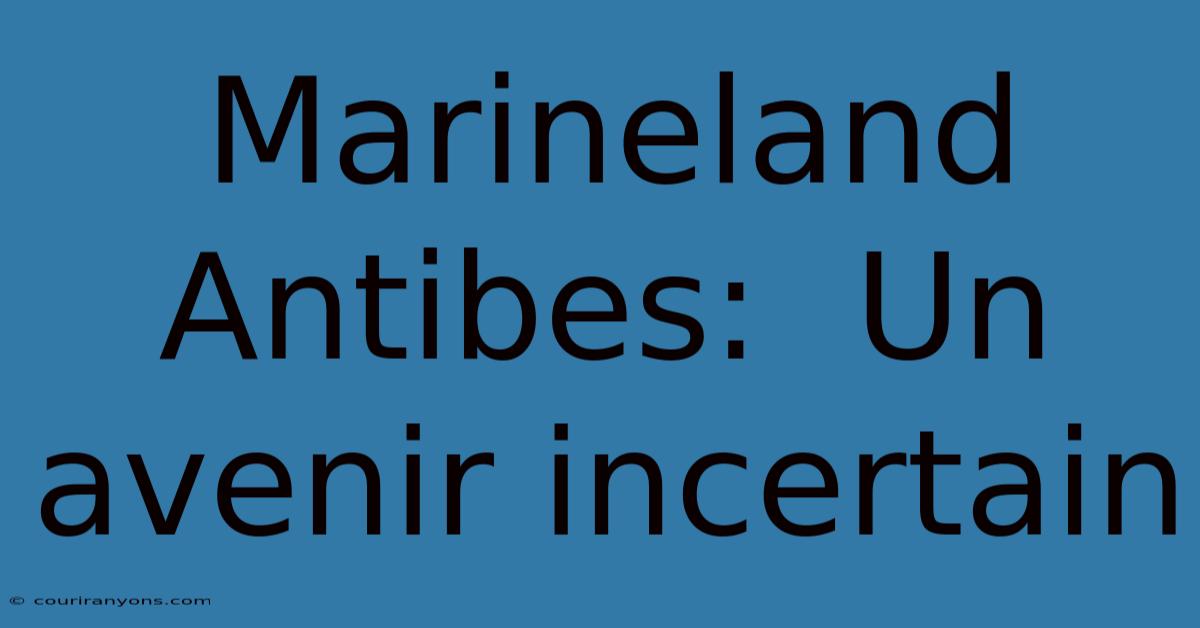 Marineland Antibes:  Un Avenir Incertain