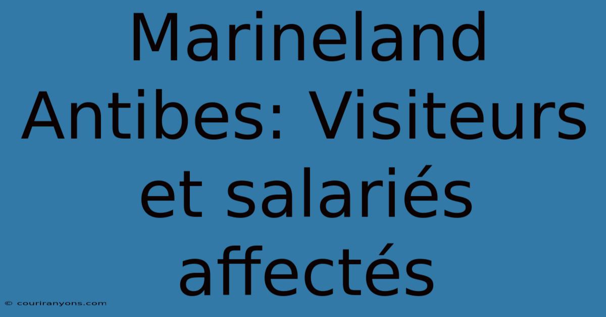 Marineland Antibes: Visiteurs Et Salariés Affectés