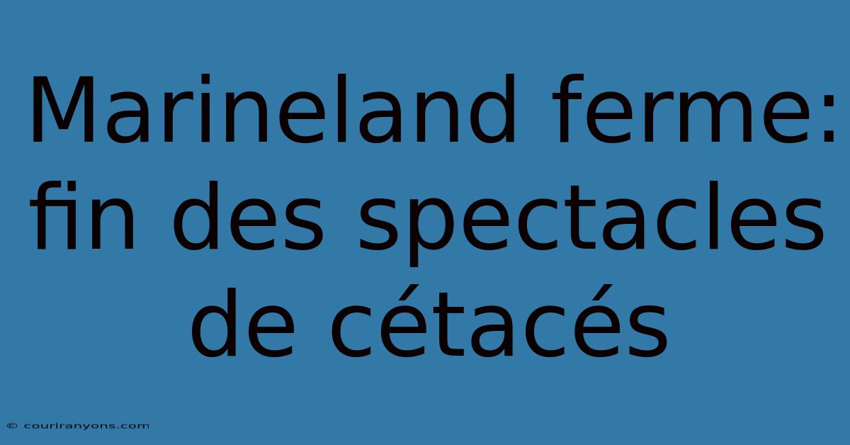 Marineland Ferme: Fin Des Spectacles De Cétacés